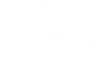 Sudden Forest